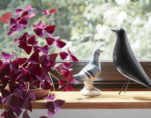 Eames House Bird
