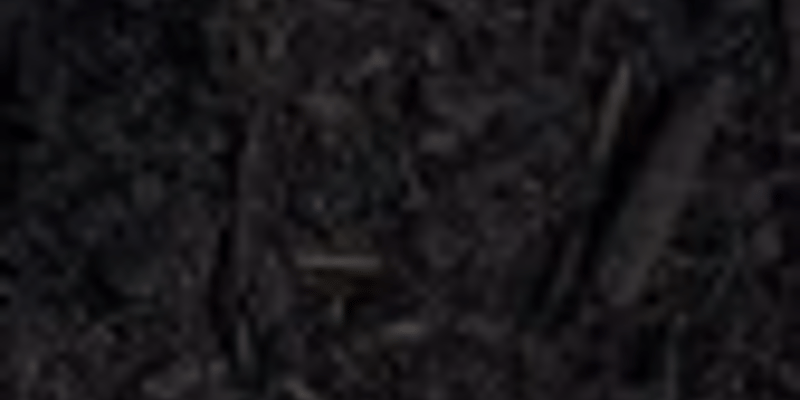 Aged Dark Bark Fines