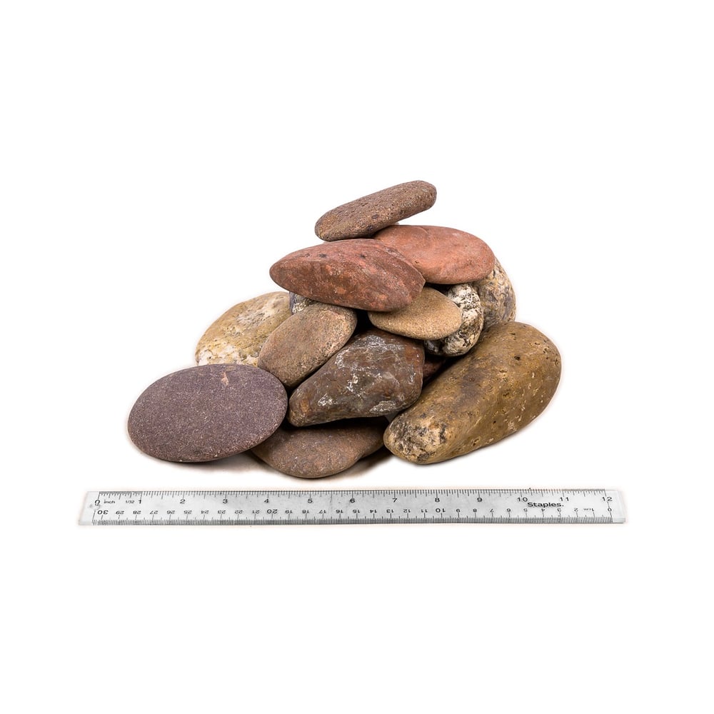 Arizona River Rock - medium