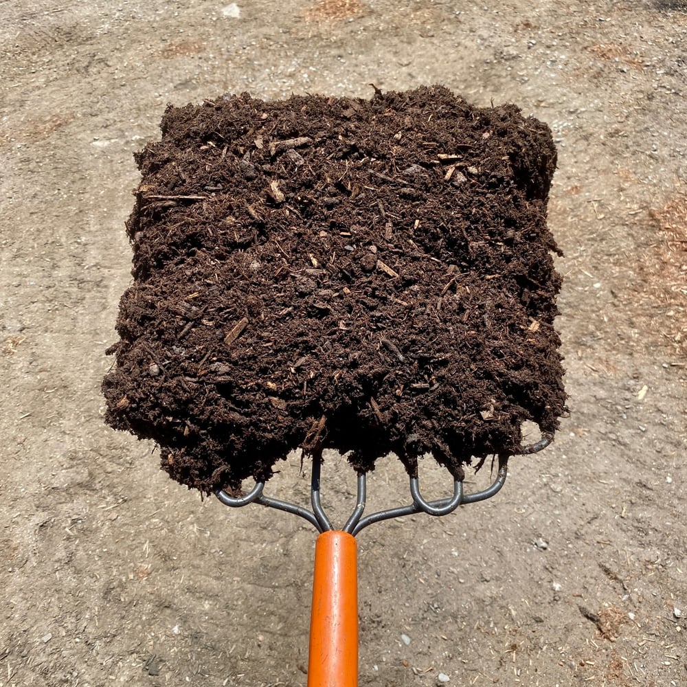 Aged Spruce (Dark Brown)