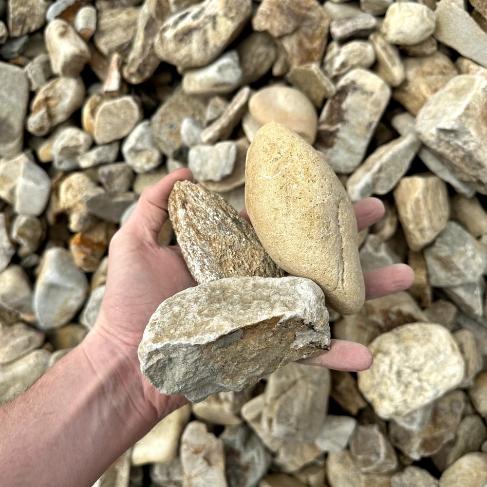 Round River Rock (3" Yellow)