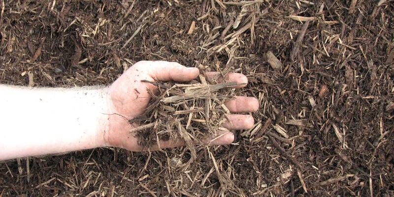 Bark Mulch