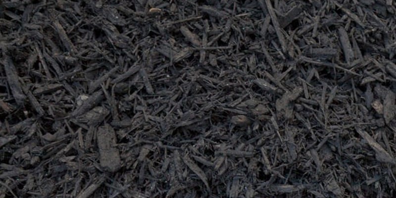Black Dyed Premium
