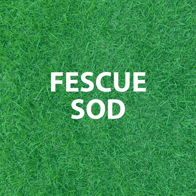 Fescue Sod