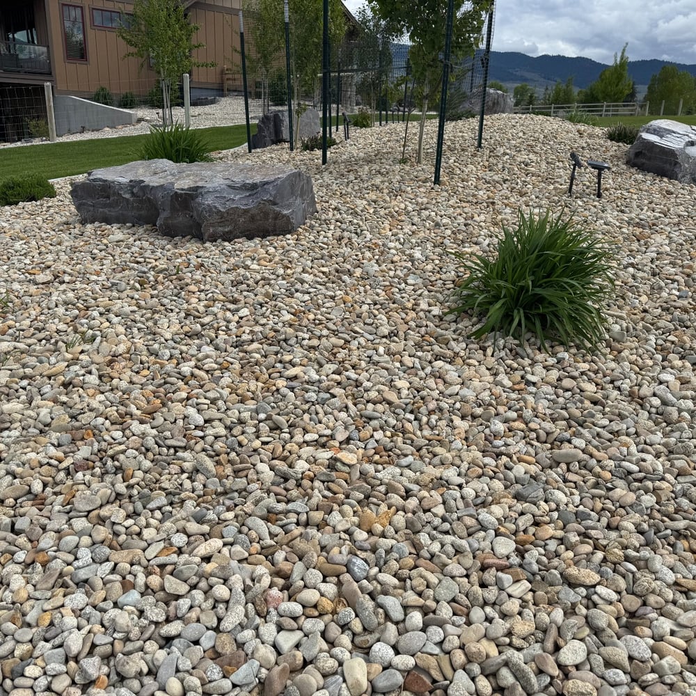 Round River Rock (1.5" Natural)