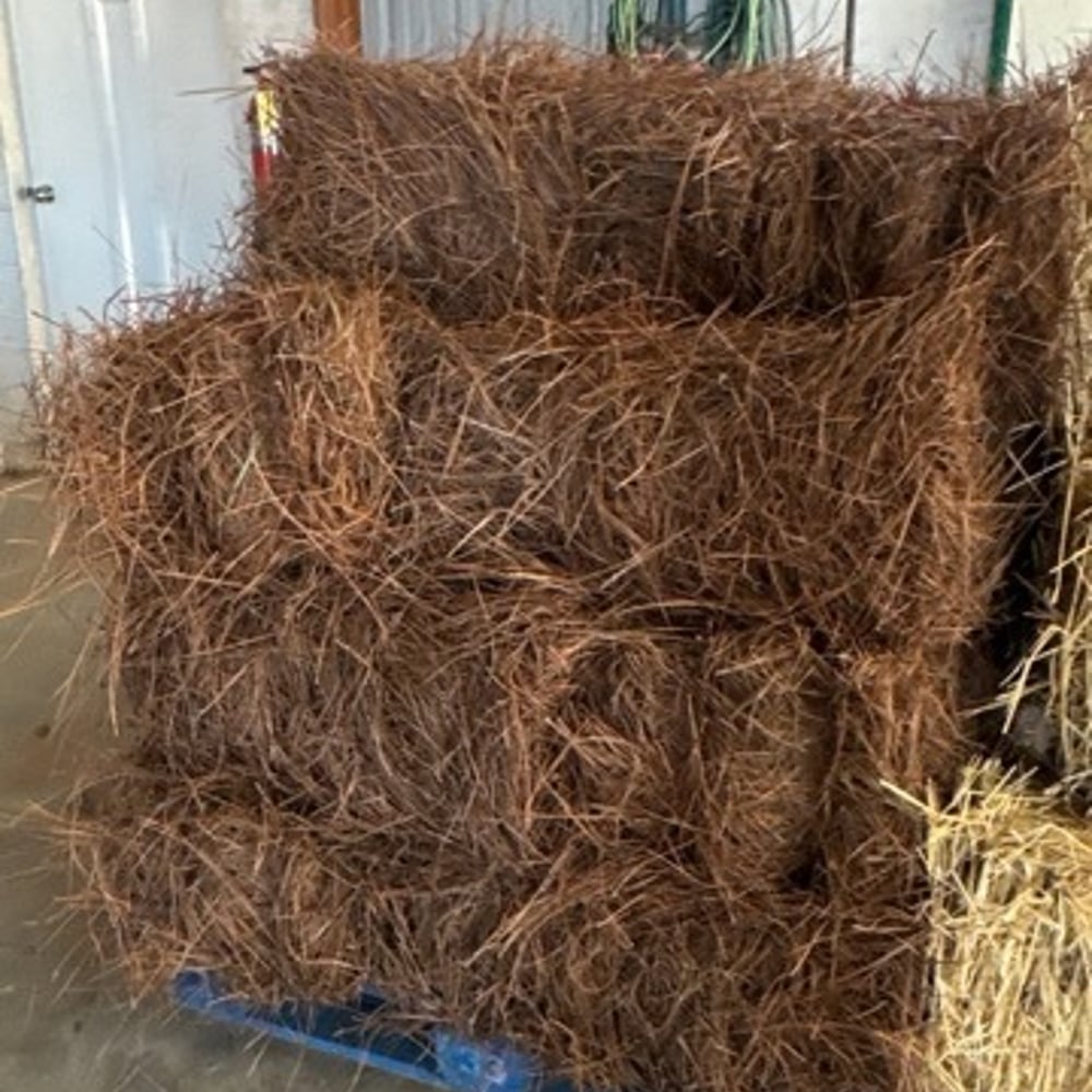 Pine Straw (Pine Needles) Bale