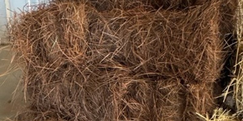 Pine Straw (Pine Needles) Bale