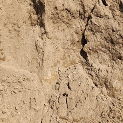 Fill (Clay/Sand)