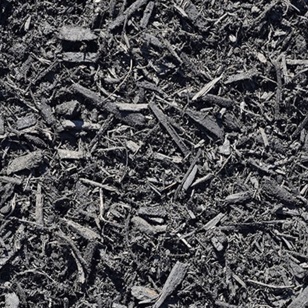 Black Mulch