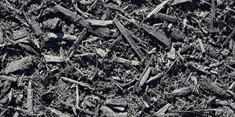 Black Mulch