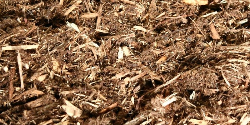 Northern Cedar Mulch