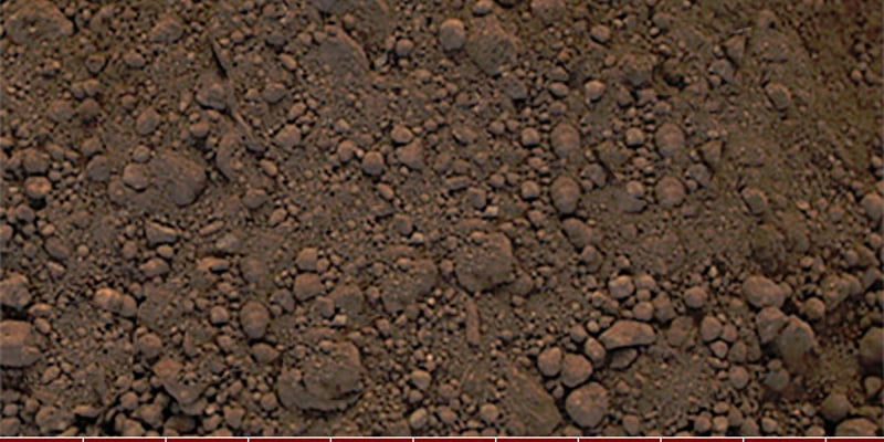Oregon's Own Topsoil