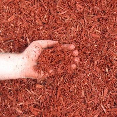 Red Dyed Mulch
