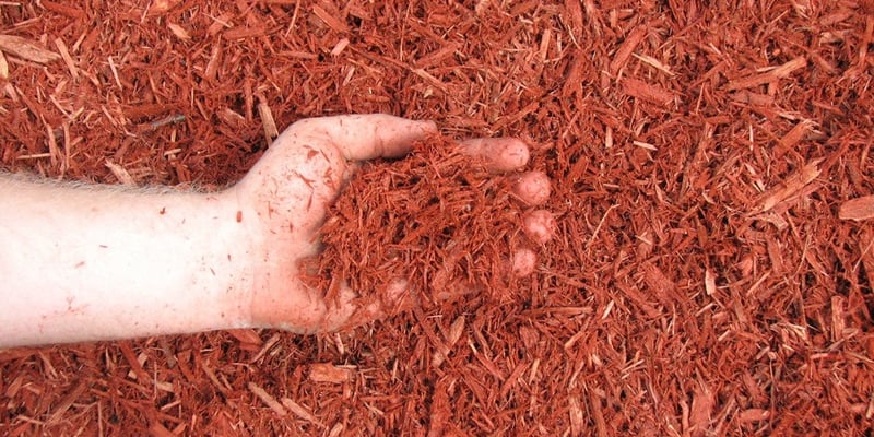 Red Dyed Mulch