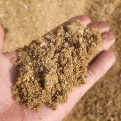 Coarse washed Sand Image