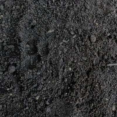 Carmen's Garden Soil Image