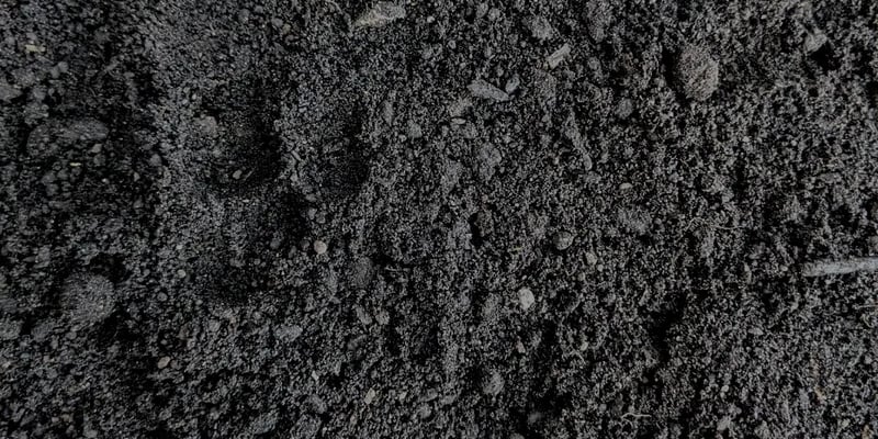 Carmen's Garden Soil