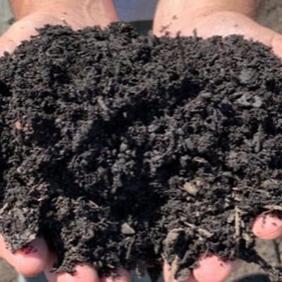 Black-Forest mulch Image