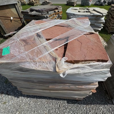 ROCKY MOUNTAIN ROSE STEPPERS