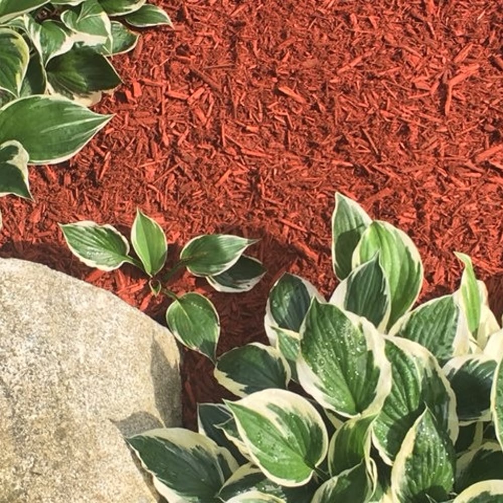 Brick Red Mulch