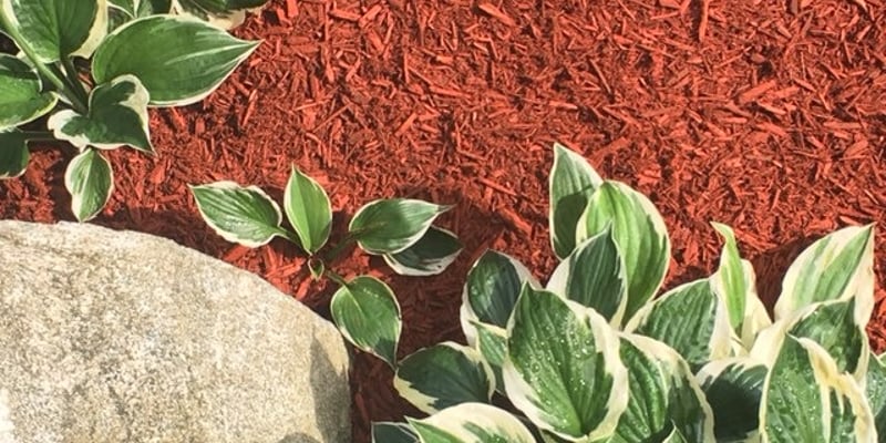 Brick Red Mulch