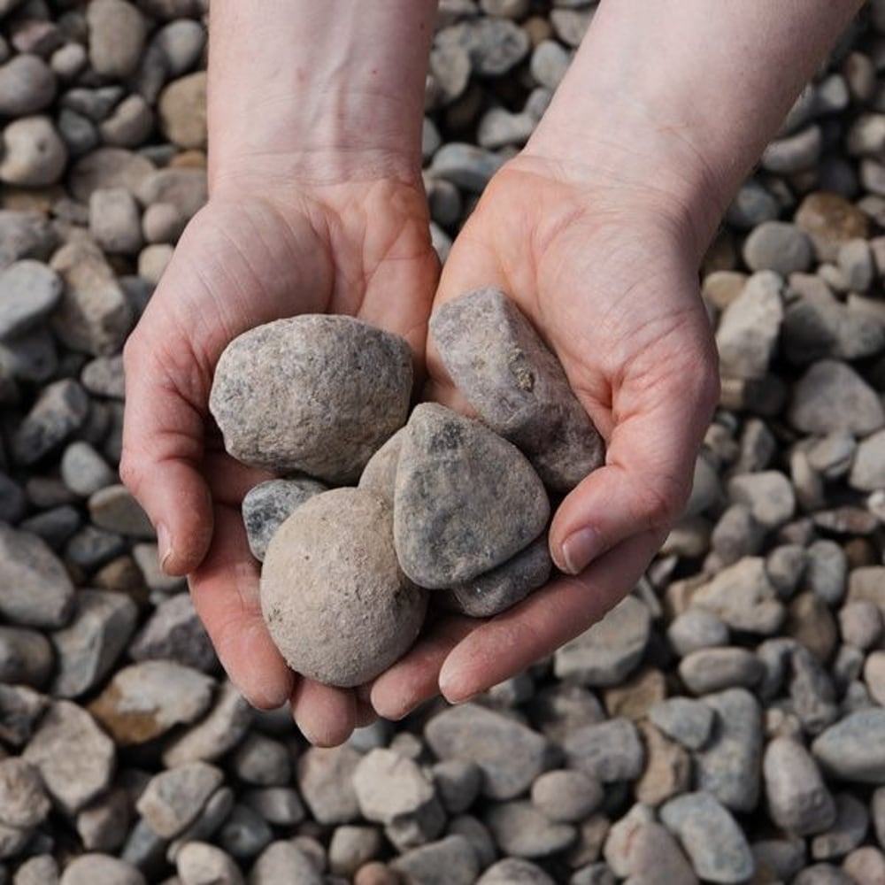 Rock, Premium River Rock 1 1/2" Mississippi - Bulk