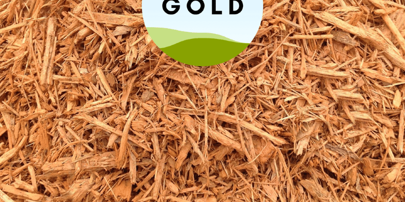 Dyed Gold Mulch