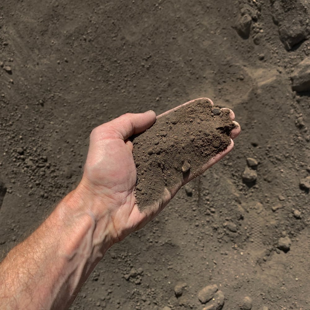 Screened Topsoil