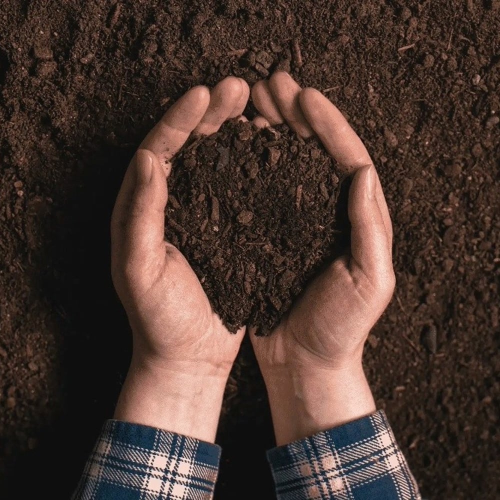 Raised Garden Bed Mix