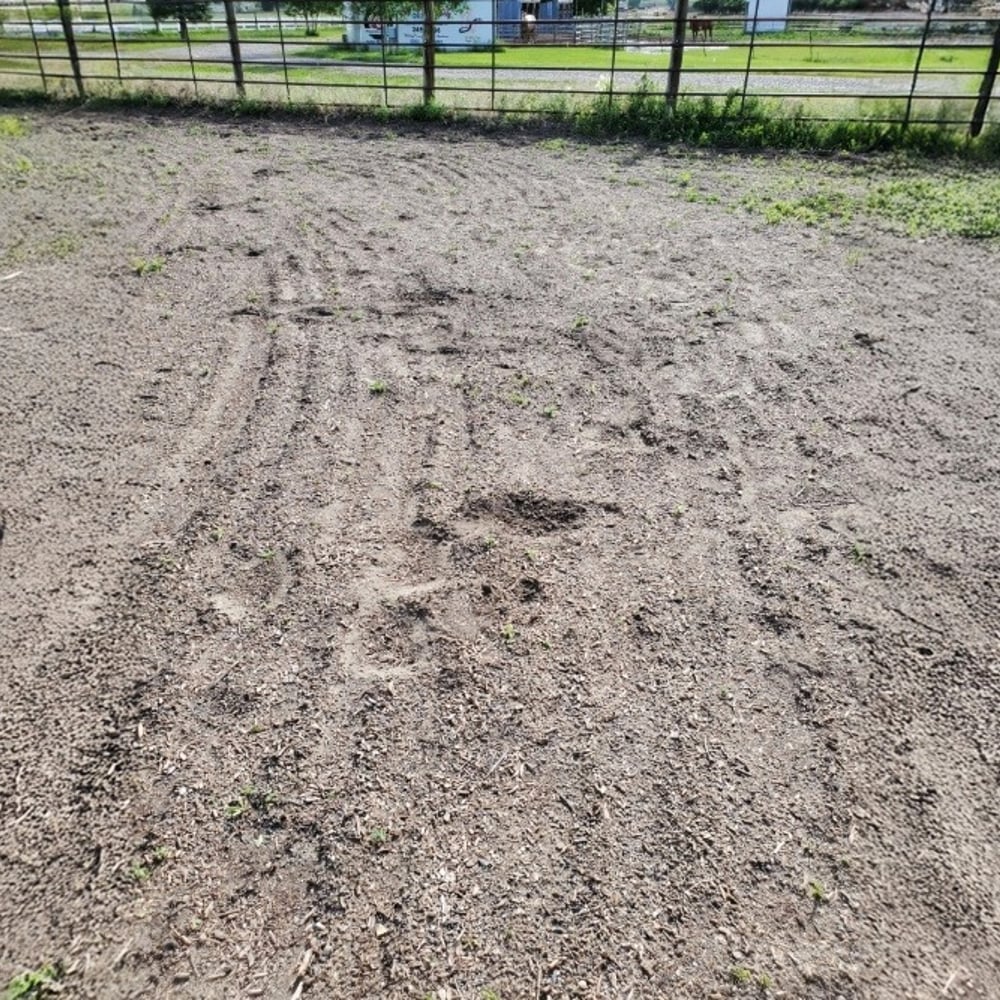 Arena Soft Footing Material