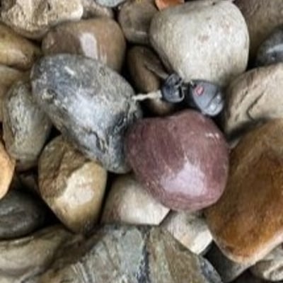 RIVER JACKS/ROUNDS  (3-5") Image