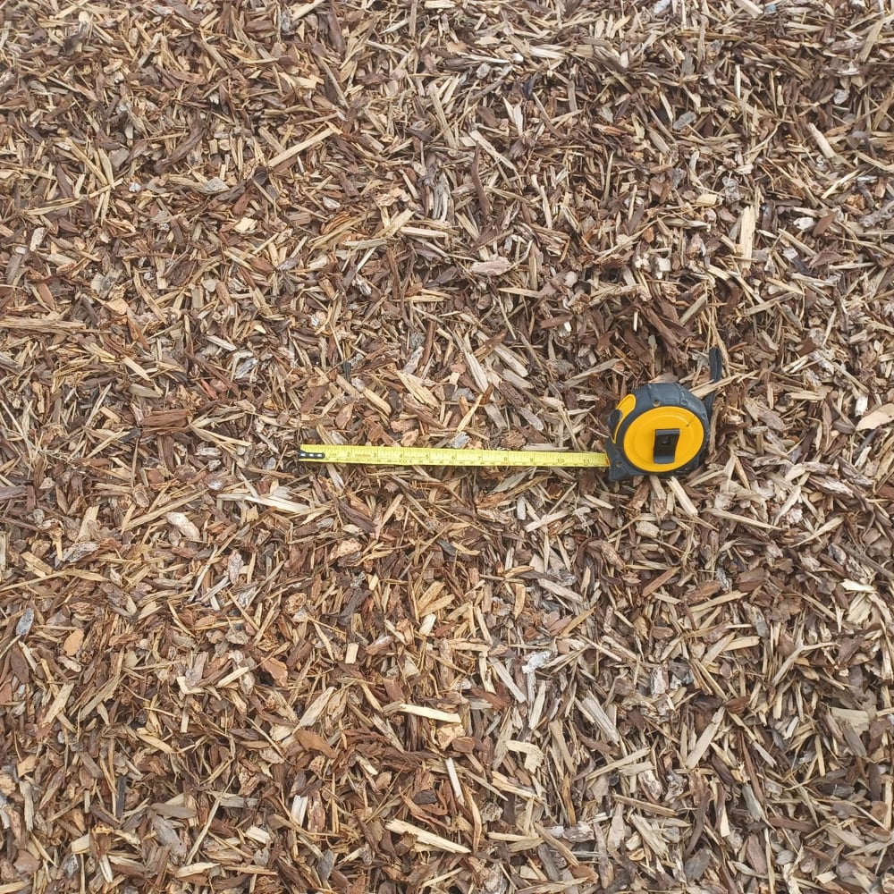 Supreme Walk on Bark