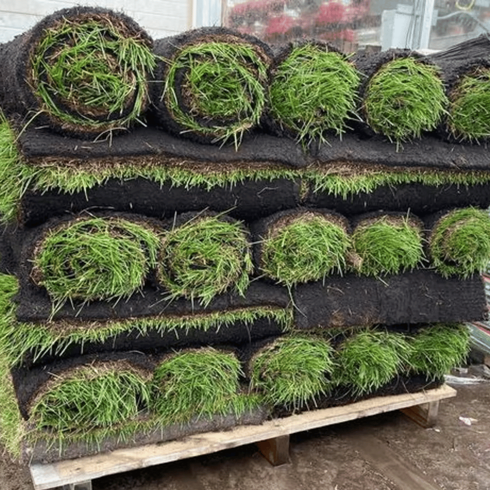 SOD per Pallet Delivered