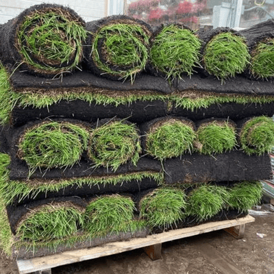 SOD per Pallet Delivered Image