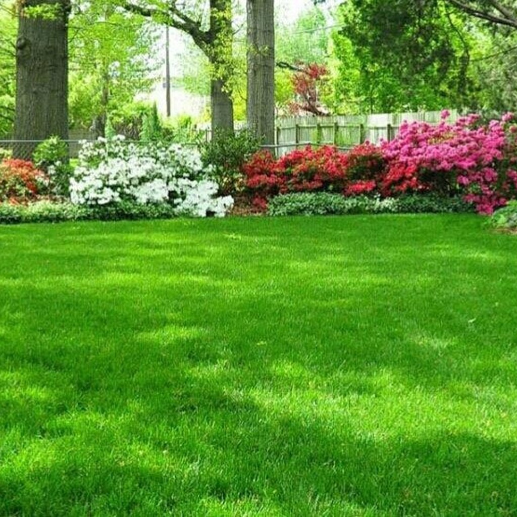 Seed & Fertilizer