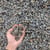 Basalt (3/4" Black)