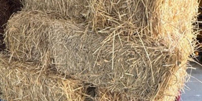 Wheat Straw (Locally Grown) (Bale)