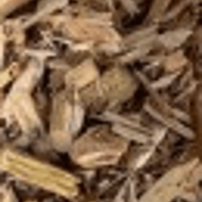 Playground Bark Image