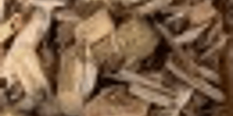 Playground Bark