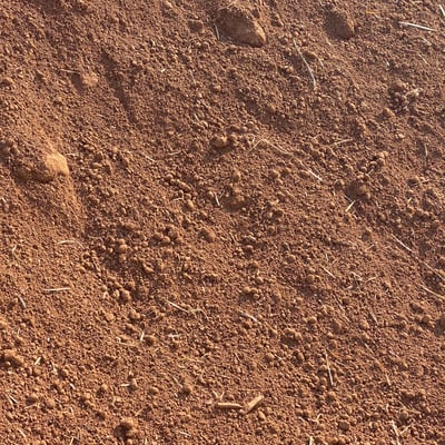Sifted Top Soil