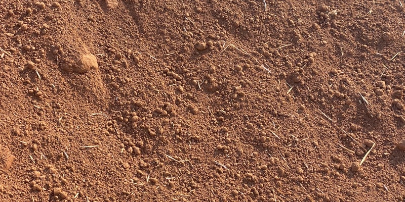 Sifted Top Soil