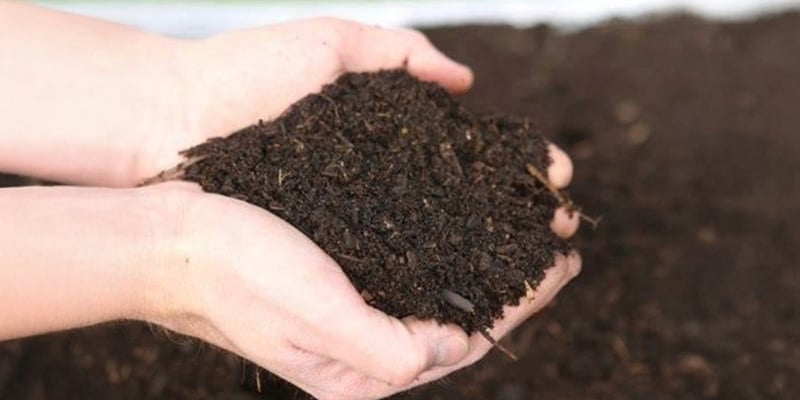 Topsoil