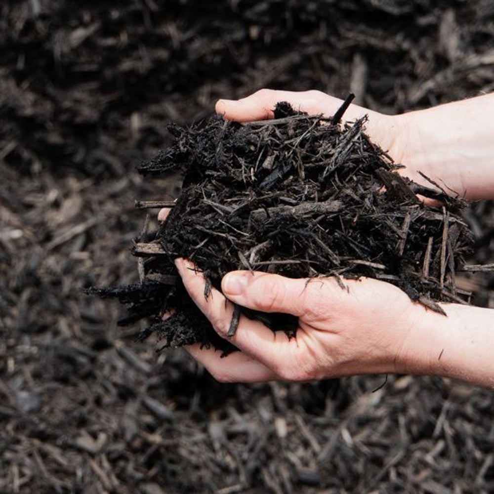Mulch, Black Dyed - Bulk