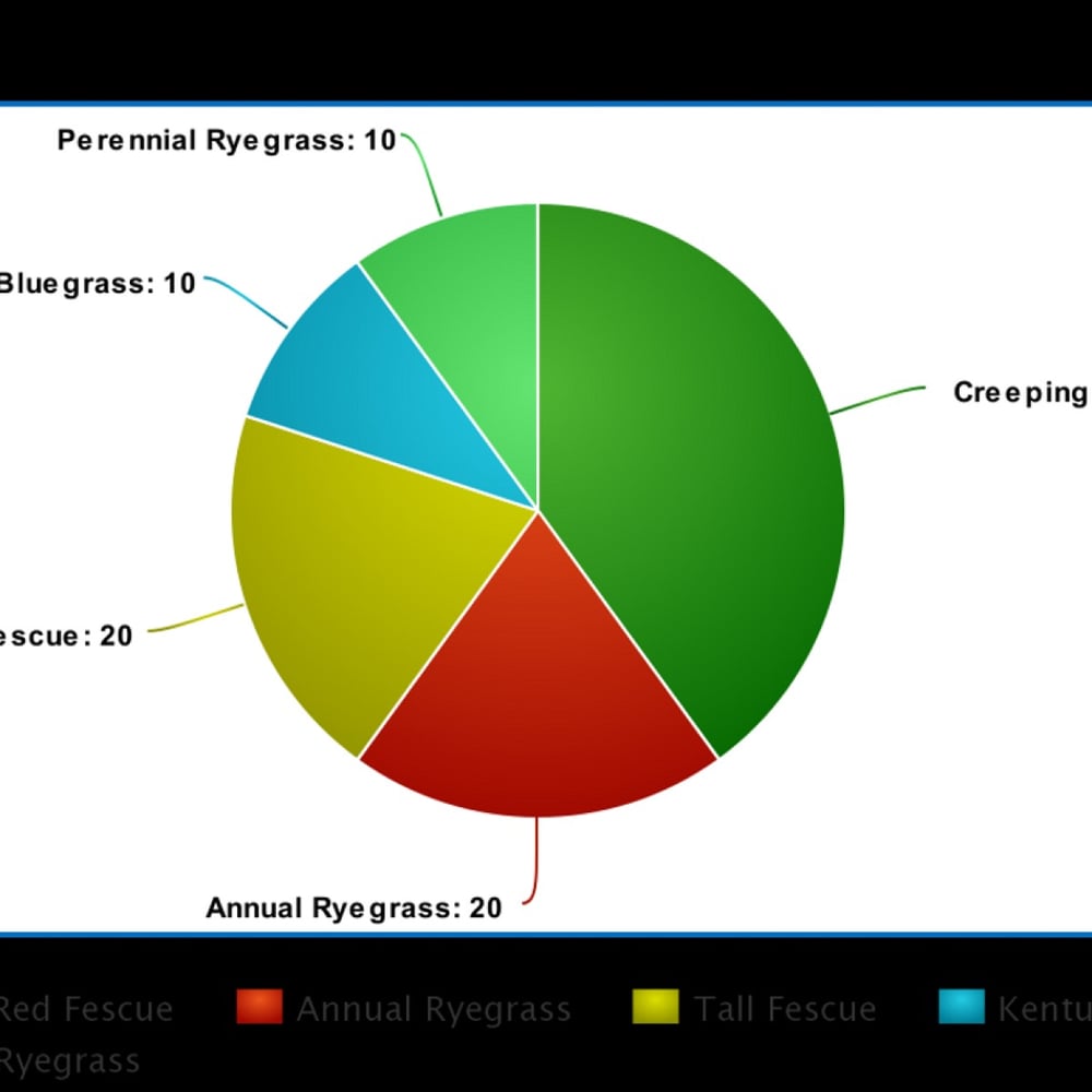 Grass Seed- Sun and Shade Mix