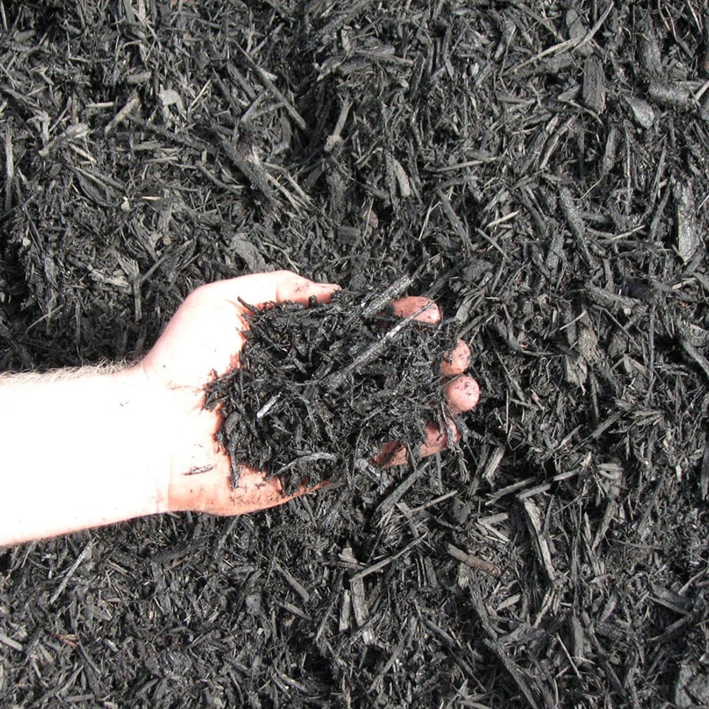 Black Dyed Mulch