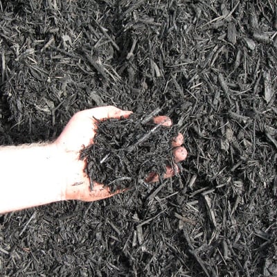 Black Dyed Mulch