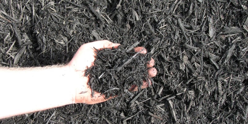 Black Dyed Mulch