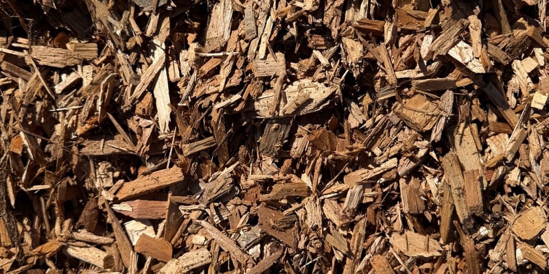 Cedar Chips