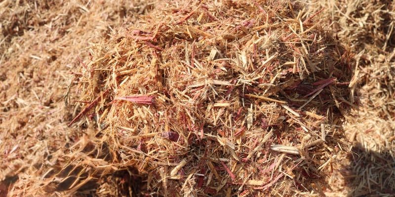 Cedar Mulch