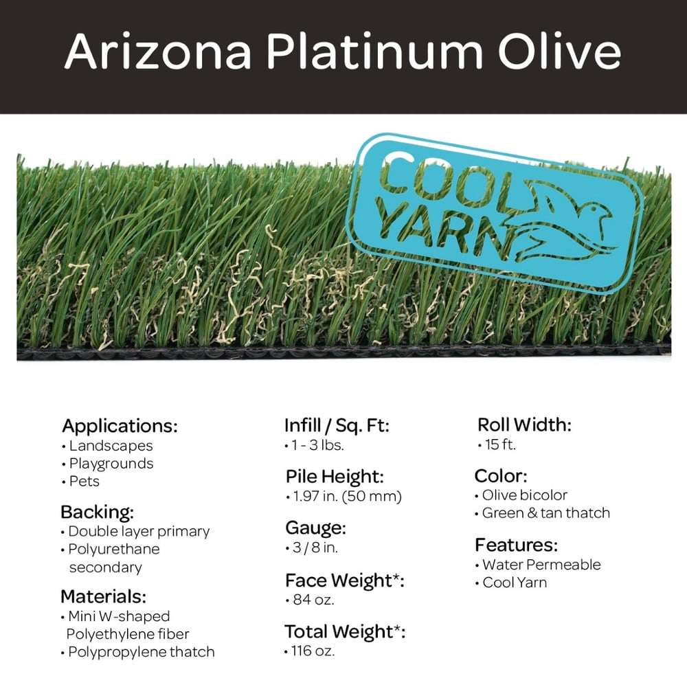 AZ Platinum Olive